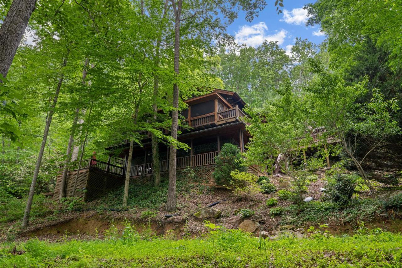 Nana'S Nest Villa Blue Ridge Exterior photo